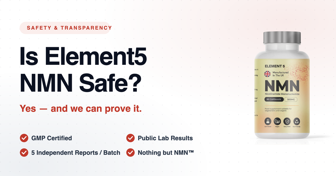 Element5 NMN supplement bottle beside the question "Is Element5 NMN Safe?" with GMP certified, 5 independent batch reports, public lab results, and nothing but NMN trust badges