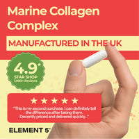 Collagen Complex Element 5 