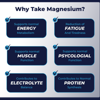 3-in-1 Magnesium Complex