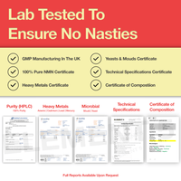 Ultra Pure NMN - 500mg Element 5 