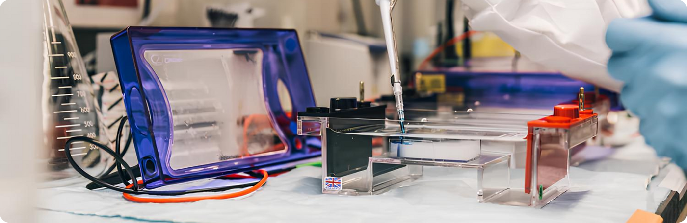 Transparent Lab Testing